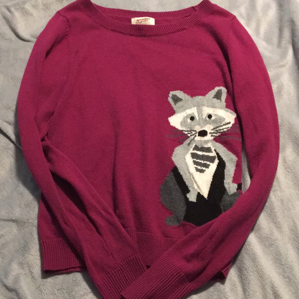 Raccoon Sweater